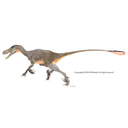 Toon afbeelding Velociraptor